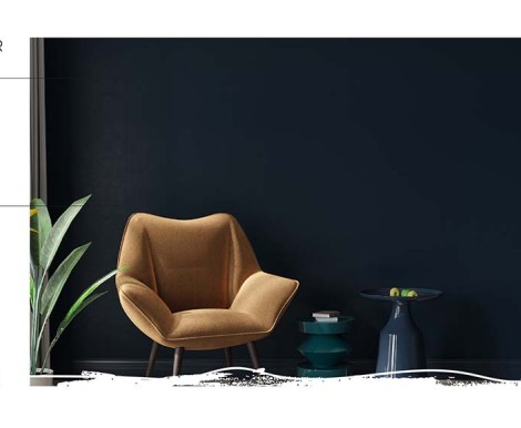 Vernice ROYAL PAINT